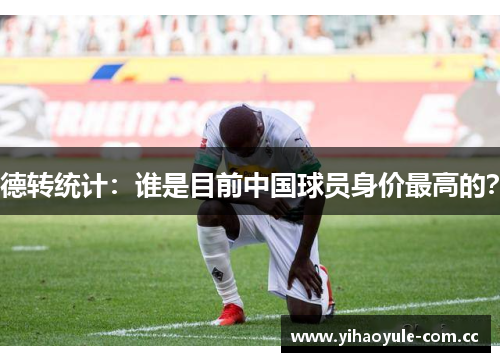 德转统计：谁是目前中国球员身价最高的？