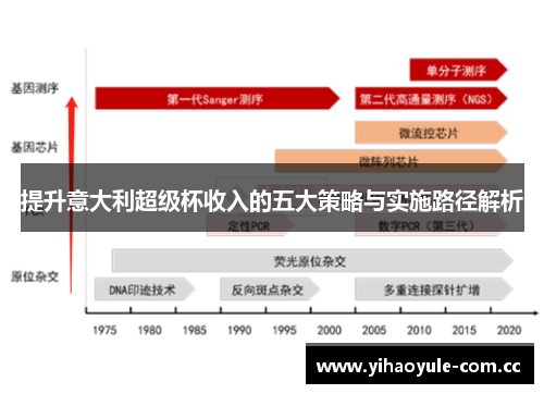 提升意大利超级杯收入的五大策略与实施路径解析 提升意大利超级杯收入的五大策略与实施路径解析