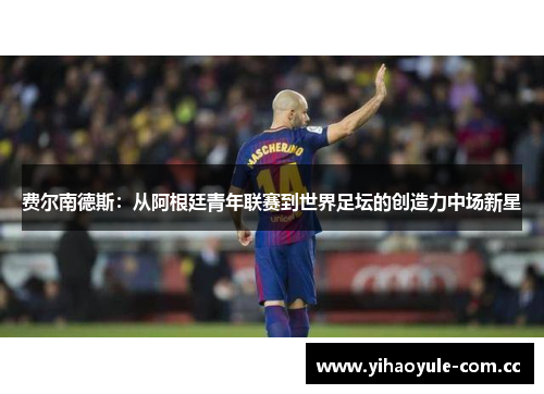 费尔南德斯:从阿根廷青年联赛到世界足坛的创造力中场新星 费尔南德斯:从阿根廷青年联赛到世界足坛的创造力中场新星