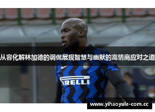 从容化解林加德的调侃展现智慧与幽默的高情商应对之道