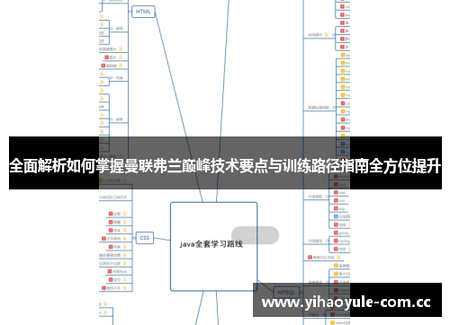 全面解析如何掌握曼联弗兰巅峰技术要点与训练路径指南全方位提升