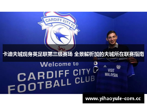 卡迪夫城现身英足联第三级赛场 全景解析加的夫城所在联赛指南